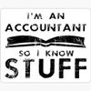 Accountants Know Stuff - Pack of 3 Stickers - Auto, Wall, Laptop, Cell, Truck Sticker for Windows, Cars, Trucks view 1