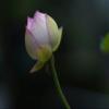 Sigma 85mm F1.4 DG DN Sony E (322965) (Renewed) view 4