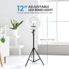 iDance LED Ring Light with Cell Phone Holder, 12", USB Powered with BT Wireless Remote Control and Foldable Adjustable Tripod Stand, Selfie, Makeup Ring Light with Universal iPad Mini Holder view 3