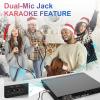 HDMI DVD Players for TV, All Region Free DVD Player with HDMI&RCA Cable, Remote Control, Dual Microphone Ports, USB Input, Support NTSC/PAL System view 3