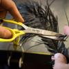 LOON ERGO PRIME SCISSORS view 4
