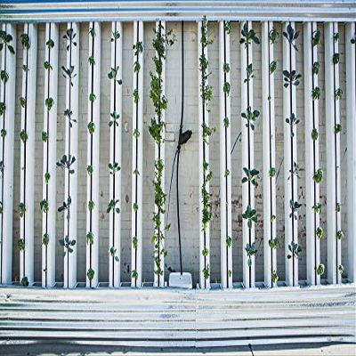 Home Comforts Green Wall Zipgrow Vertical Farm Hydroponics-20 Inch By 30 Inch Laminated Poster With Bright Colors And Vivid Imagery-Fits Perfectly In Many Attractive Frames