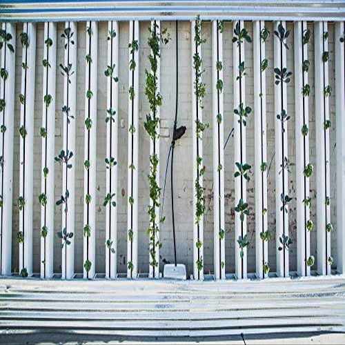 Home Comforts Green Wall Zipgrow Vertical Farm Hydroponics-20 Inch By 30 Inch Laminated Poster With Bright Colors And Vivid Imagery-Fits Perfectly In Many Attractive Frames
