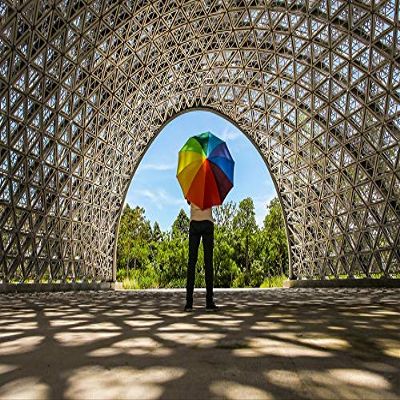 Home Comforts Rain Weather Color Art Colorful Umbrella-20 Inch By 30 Inch Laminated Poster With Bright Colors And Vivid Imagery-Fits Perfectly In Many Attractive Frames