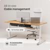 PAMO Cable Management Under Desk for Easy mounting Under-Table I Set of 2 - with 10X Cable Ties I Desk Organizer for Office/Home Office Table Thoughtful Cable Tray Holder view 2