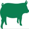 Decaltor Green HOG Silhouette - Pig Swine - Laptop Stickers - 5" Vinyl Decal -Funny Laptop, Phone, Tablet Vinyl Decal Sticker,Bumper Sticker view 1