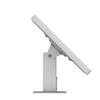 VidaMount Light Grey Exposed Rear Camera Enclosure and Rotating & Tilting Desk/Table Mount [Bundle] Compatible with iPad Pro 11" (1st/2nd/3rd/4th Gen), Air 10.9" (4th/5th Gen) & Air 11" (M2-M3) view 4