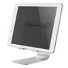 Neomounts by Newstar Tablet Desk Stand (Suited for Tablets up to 11"), Silver, W125878066 (Tablets up to 11), Silver Foldable Tablet Stand, Tablet/UMPC, Passive Holder, Desk, Silver view 1
