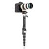Benro SupaDupa Carbon Fiber Monopod Lightweight 6-Section Professional Camera & Video Monopod with Leveling Pan Base, Twist Locks, and Reversible Mount for DSLR, Mirrorless & Camcorders (MSDPL46C) view 3