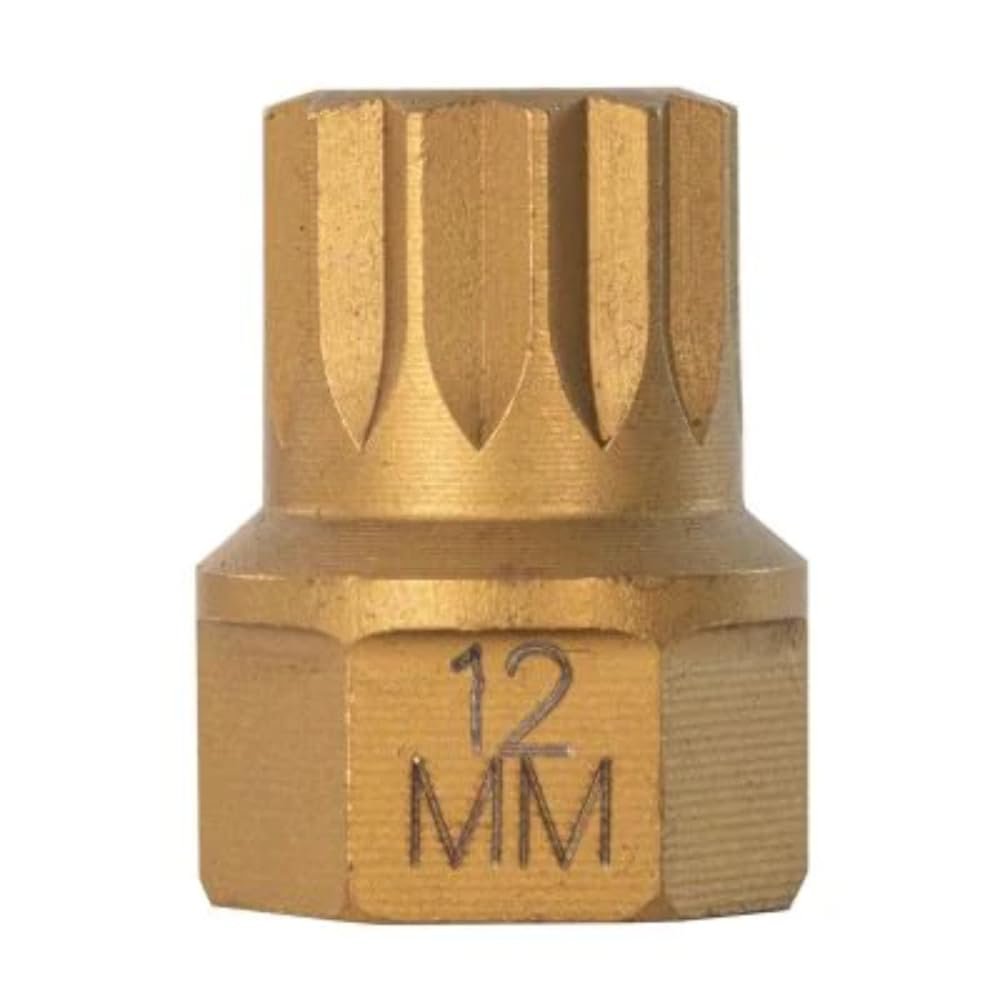 DUAL DRIVE-12 TRIPLE SQ BIT