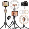 12" Selfie Ring Light with Tripod Stand 72" Tall & Mini Desktop Tripod, PEYOU Ring Light Tripod with 4 Phone Tablet Holders & Shutter for YouTube/Makeup/TikTok/Photography, Compatible with iPhone iPad view 1