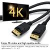 OMNIHIL 10FT DisplayPort to DisplayPort Gold Plated Cable Compatible with Dell UltraSharp 43 4K USB-C Monitor - U4320Q view 2