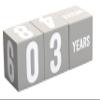 Little Pear Baby Keepsake Milestone Blocks, Growth Marker Blocks, Baby Age Photo Prop, Gray & White, Wooden view 4