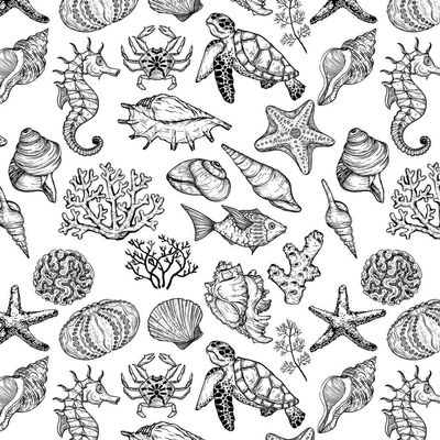 Ceramic Decals - Ocean Mix Creature (Black, 19 x 13 Inch)