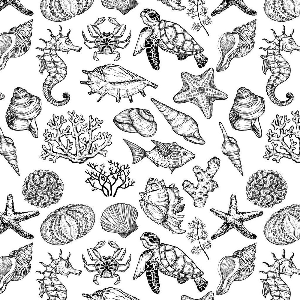 Ceramic Decals - Ocean Mix Creature (Black, 19 x 13 Inch)