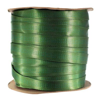 Paracord Planet Tubular Webbing 1 Inches Heavy Duty Nylon/Rescue Harnesses Work Great for Outdoors (20 Yards - Kiwi)