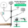 Webcam Stand Camera Mount with Phone Holder & 5/8" Screw, 22in Flexible Projector Stand Gooseneck Desk Mic for Logitech C922 C930e C920 C615 C960 Brio 4K, GoPro, Blue Yeti Snowball Ice view 3
