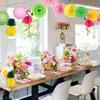 SOLUSTRE 13pcs Tropical Set Paper Honeycomb Flower Lanterns for Celebrations Reusable Decorations for Birthdays Graduations and Luau Events view 4