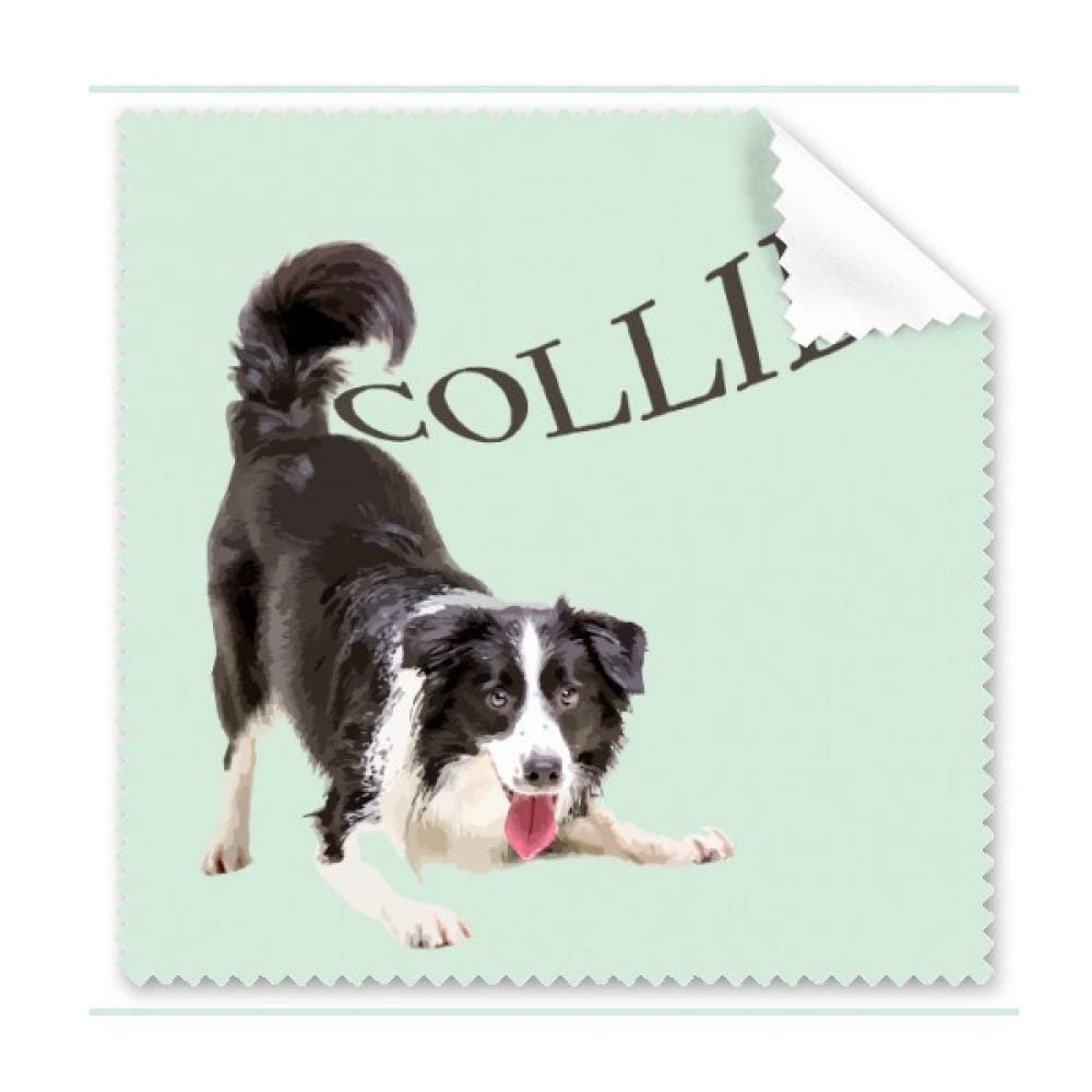 Border Collie Farm Pet Art Deco Gift Fashion Cleaning Cloth Phone Screen Glasses Cleaner 5pcs