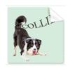 Border Collie Farm Pet Art Deco Gift Fashion Cleaning Cloth Phone Screen Glasses Cleaner 5pcs view 1