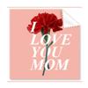 Carnation Mother Gift Emotion Cleaning Cloth Phone Screen Glasses Cleaner 5pcs view 1