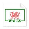 Dragon Flag Welsh Box Art Deco Gift Fashion Cleaning Cloth Phone Screen Glasses Cleaner 5pcs view 1