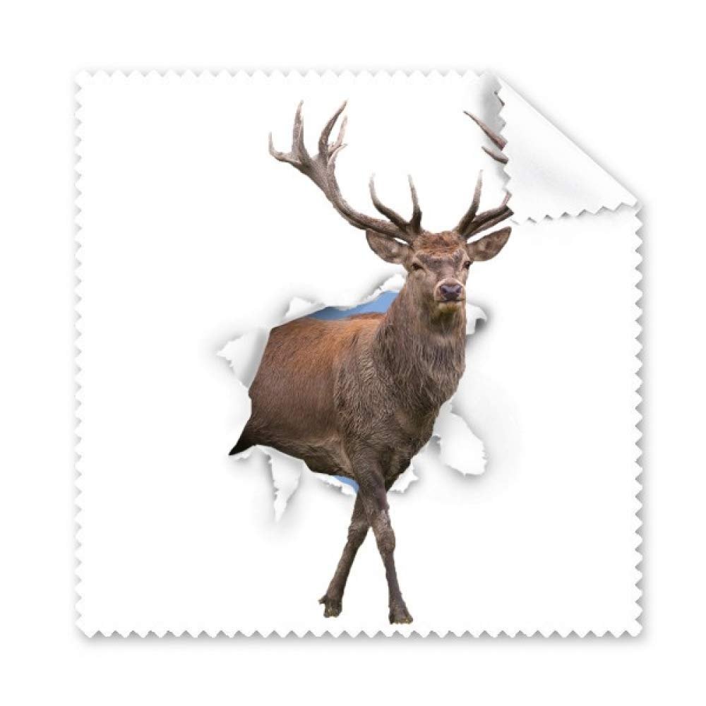 Animal Paper Break Shocks Cleaning Cloth Phone Screen Glasses Cleaner 5pcs