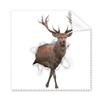 Animal Paper Break Shocks Cleaning Cloth Phone Screen Glasses Cleaner 5pcs view 1