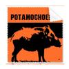 African Wild Boar Lactation Cleaning Cloth Phone Screen Glasses Cleaner 5pcs view 1