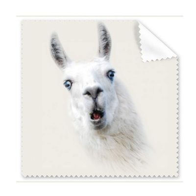 Alpaca Surprise White Mouth Cleaning Cloth Phone Screen Glasses Cleaner 5pcs