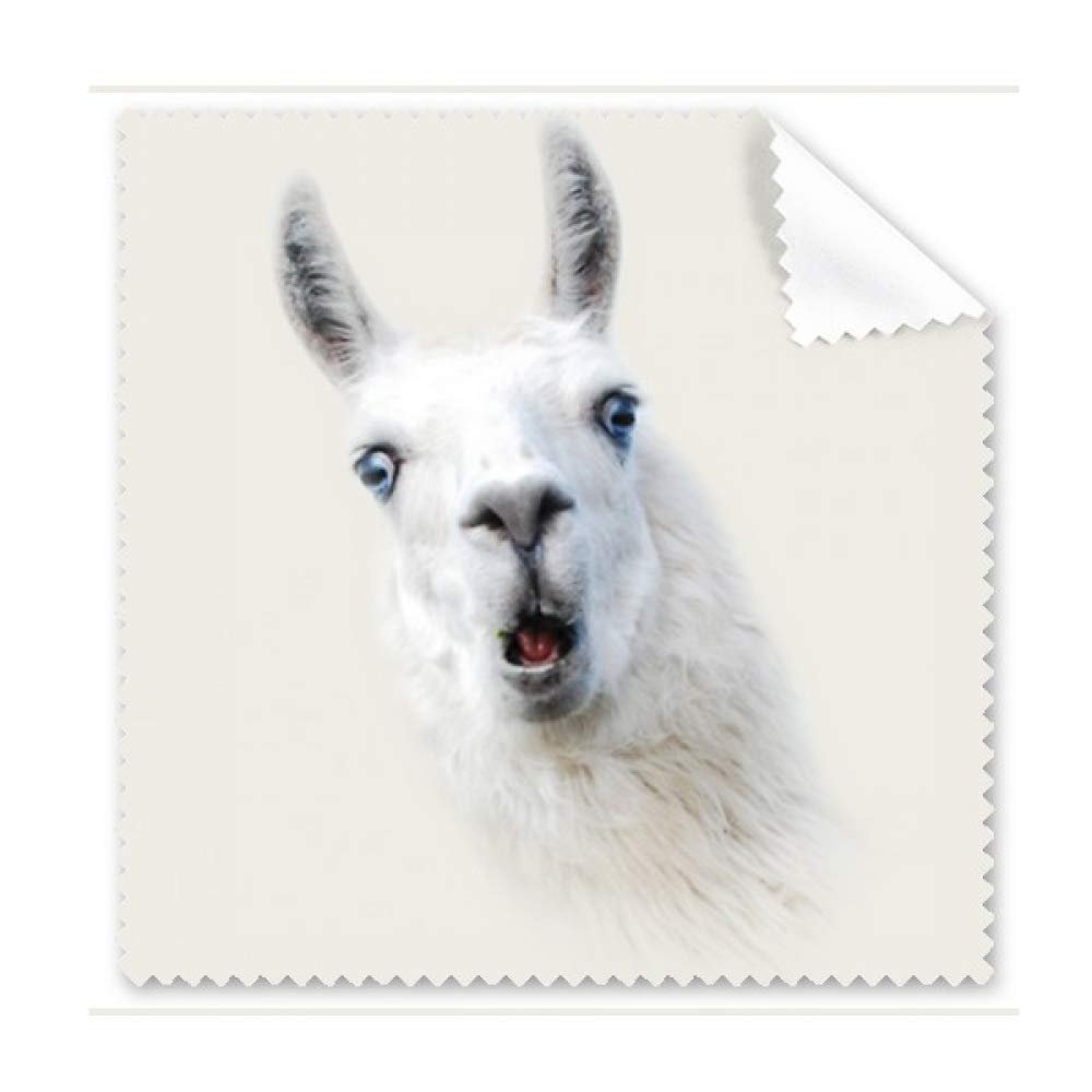 Alpaca Surprise White Mouth Cleaning Cloth Phone Screen Glasses Cleaner 5pcs