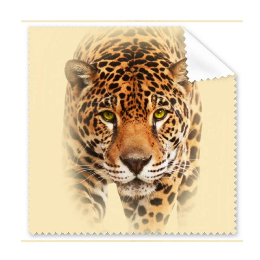 Cheetah Near Fierce Face Art Deco Gift Fashion Cleaning Cloth Phone Screen Glasses Cleaner 5pcs