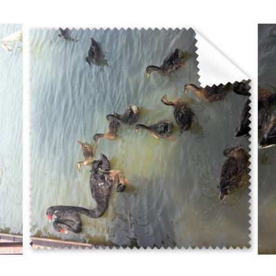 Black Swan Swimming Art Deco Gift Fashion Cleaning Cloth Phone Screen Glasses Cleaner 5pcs