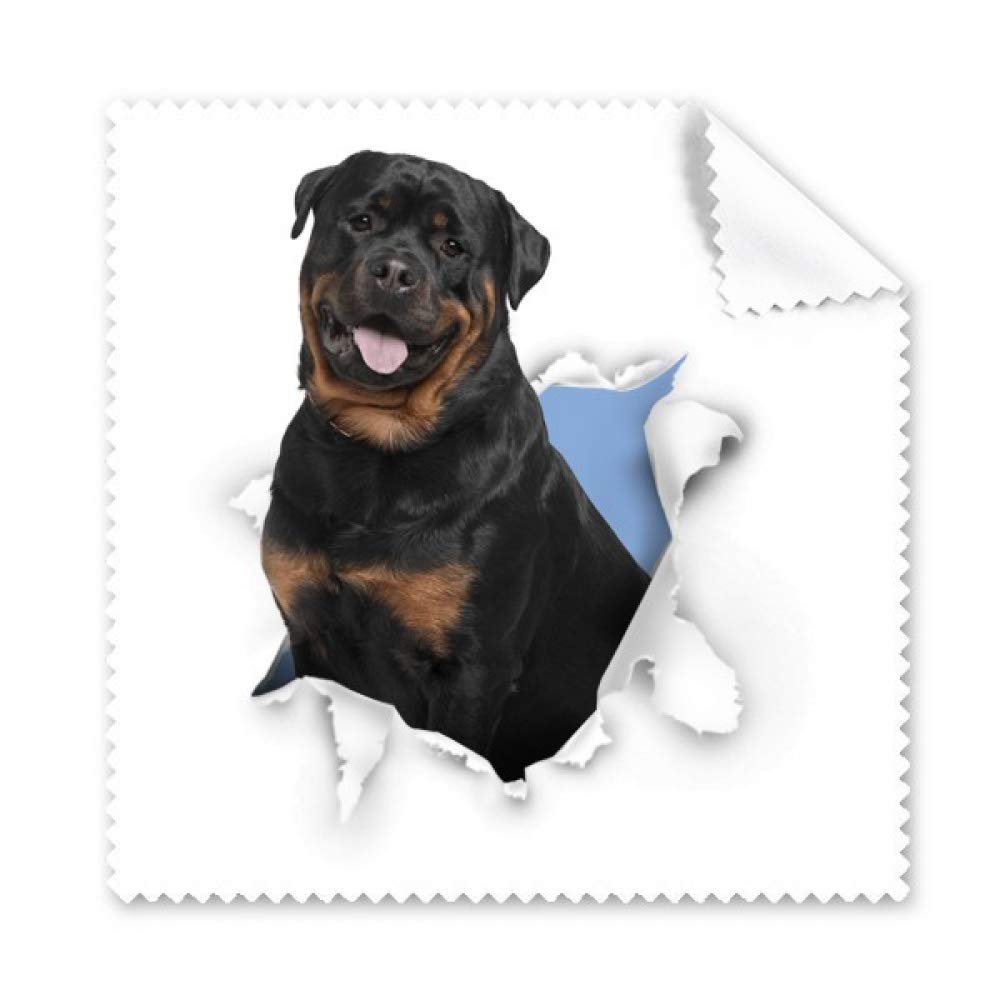 Animal Paper Break Shocks Bad Dogs Cleaning Cloth Phone Screen Glasses Cleaner 5pcs