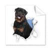 Animal Paper Break Shocks Bad Dogs Cleaning Cloth Phone Screen Glasses Cleaner 5pcs view 1