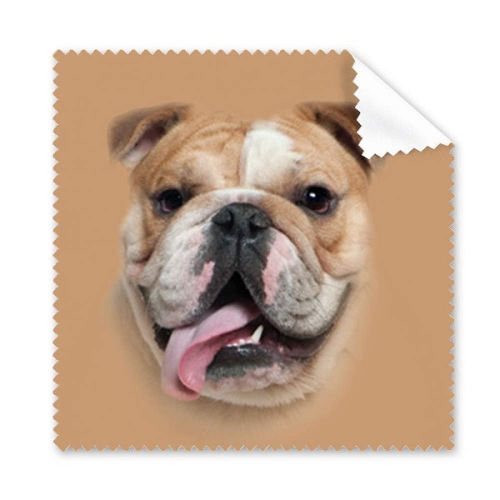 Dog Skin Tongue Art Deco Gift Fashion Cleaning Cloth Phone Screen Glasses Cleaner 5pcs