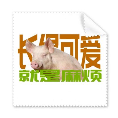 Annoying Expression Pig Face Cleaning Cloth Phone Screen Glasses Cleaner 5pcs