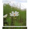 Double White Cosmos Cleaning Cloth Phone Screen Glasses Cleaner 5pcs view 1