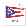 American State Flag Contour Ohio Cleaning Cloth Phone Screen Glasses Cleaner 5pcs view 1