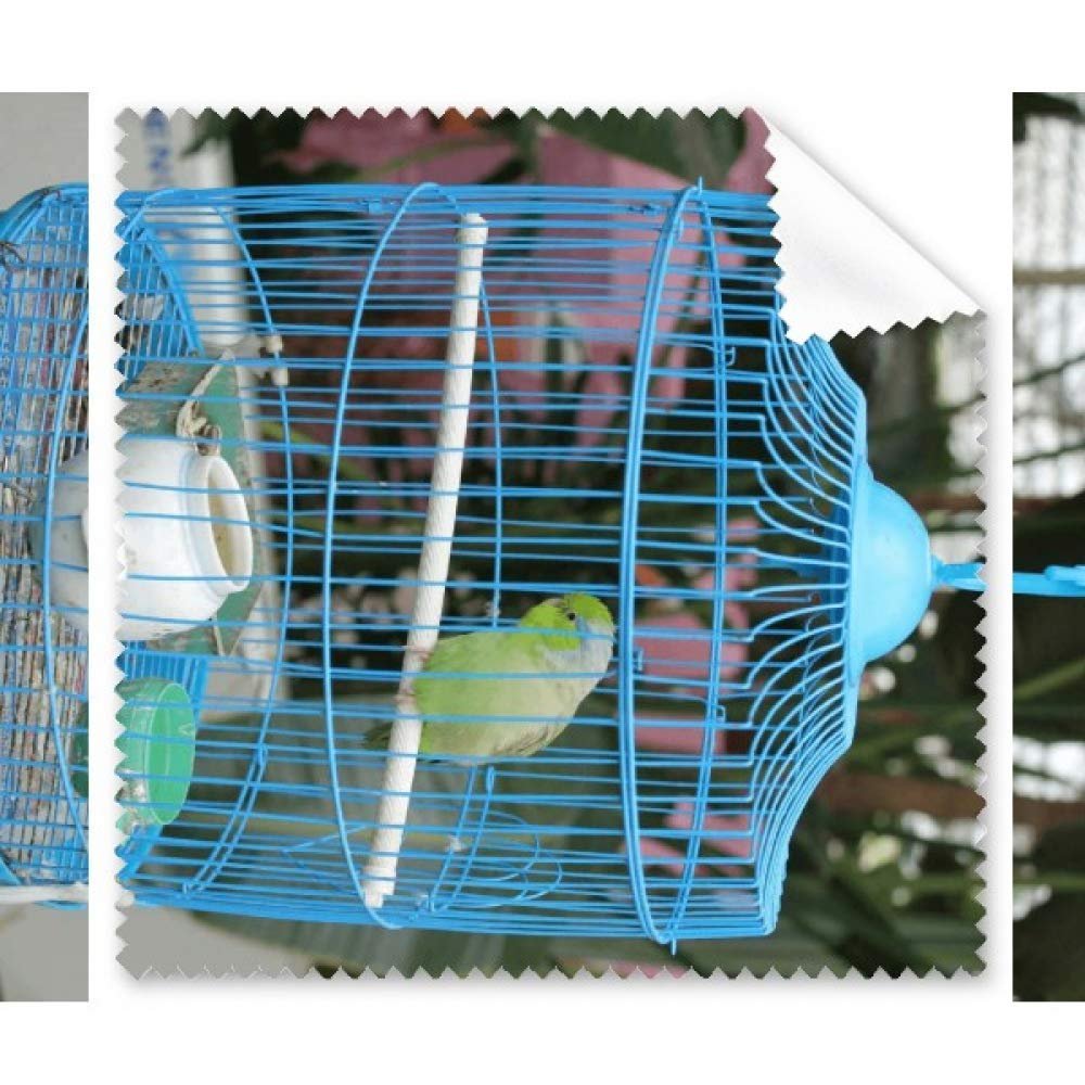 Parrot Cleaning Cloth Phone Screen Glasses Cleaner 5pcs