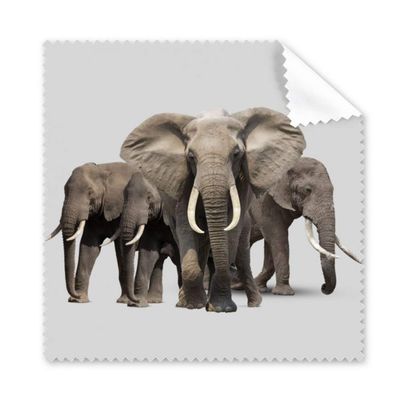 Elephant Group Nose Teeth Cleaning Cloth Phone Screen Glasses Cleaner 5pcs