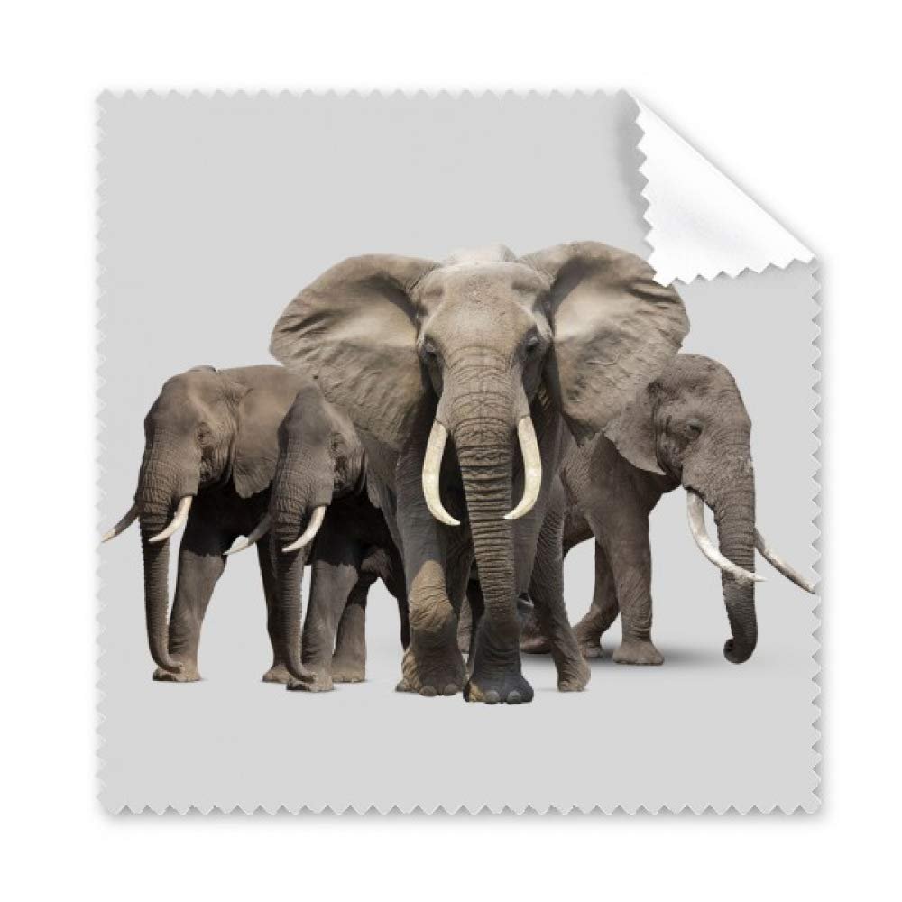 Elephant Group Nose Teeth Cleaning Cloth Phone Screen Glasses Cleaner 5pcs