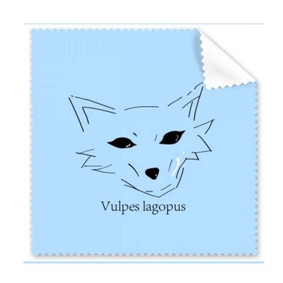 Arctic Fox Lovely White Art Deco Gift Fashion Cleaning Cloth Phone Screen Glasses Cleaner 5pcs