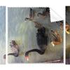 Black Swan Art Deco Gift Fashion Cleaning Cloth Phone Screen Glasses Cleaner 5pcs view 1