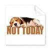 Dogs Sleep Ears Lie Down Art Deco Gift Fashion Cleaning Cloth Phone Screen Glasses Cleaner 5pcs view 1