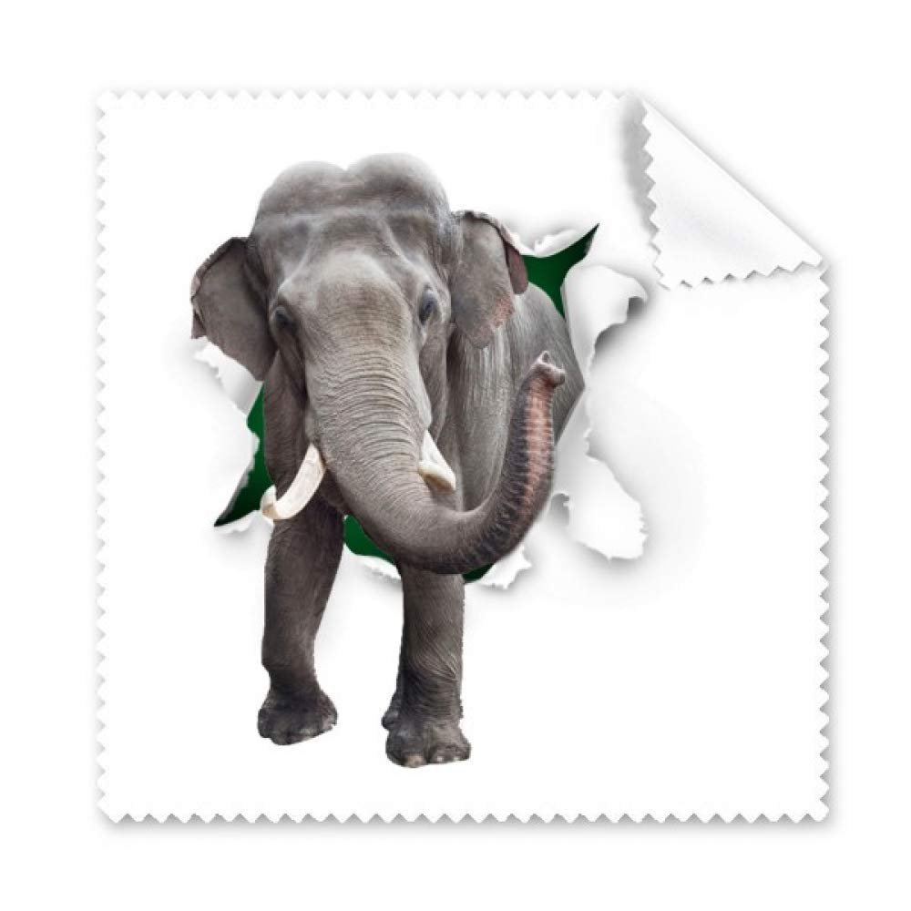 Animal Paper Breaks Impact Elephants Cleaning Cloth Phone Screen Glasses Cleaner 5pcs