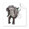 Animal Paper Breaks Impact Elephants Cleaning Cloth Phone Screen Glasses Cleaner 5pcs view 1