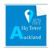 Auckland Geography Coordinates Travel Cleaning Cloth Phone Screen Glasses Cleaner 5pcs view 1