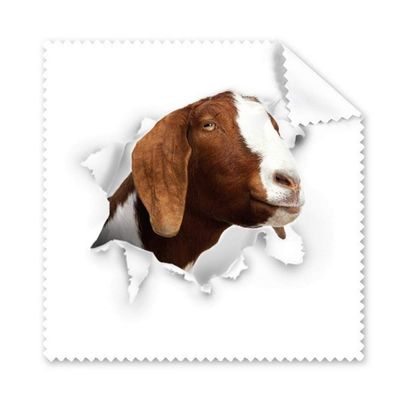 Animal Paper Breaking Shock Expressions Cleaning Cloth Phone Screen Glasses Cleaner 5pcs
