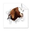 Animal Paper Breaking Shock Expressions Cleaning Cloth Phone Screen Glasses Cleaner 5pcs view 1